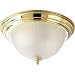 Progress Lighting P3817-10 2-Light Close-To-Ceiling with Etched Ribbed Glass, Polished Brass