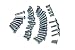 Talismoon Replacement Screw Set for Nintendo Wii