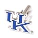 Kentucky Wildcats NCAA Logo'd Executive Cufflinks w/ Jewelry Box
