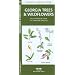 Georgia Trees & Wildflowers: An Introduction to Familiar Species (State Nature Guides)
