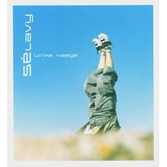 Selavy