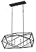 4-Light Linear Chandelier in Black Graphite Finish