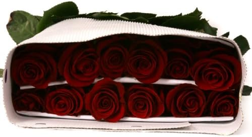 Fresh Flowers -50 Red Roses - Birthday Anniversary Mother's Day