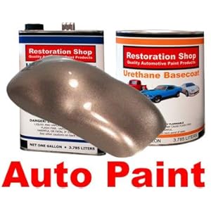 Driftwood Beige Metallic ACRYLIC LACQUER Auto Paint Kit