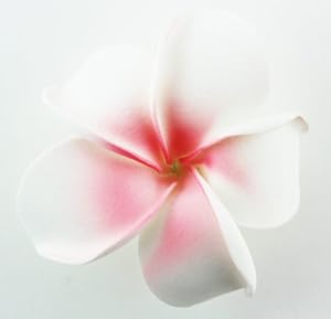 Hawaiian Flower Hair Clip - Tropical Flower Summer Hair Accessory (White / Pink)