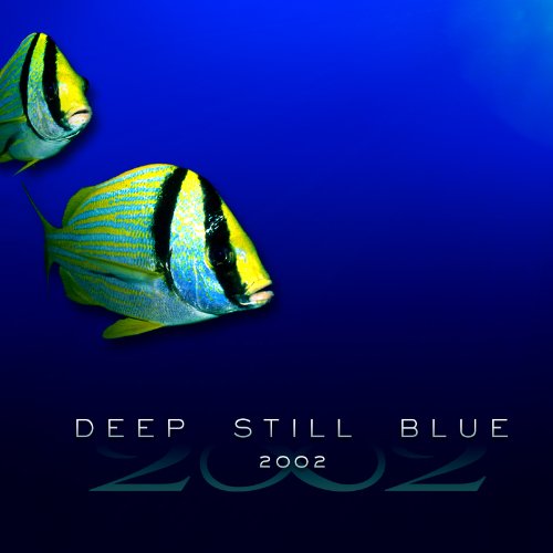 2002 - Deep Still Blue - Zortam Music
