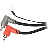 Dual Audio Interconnect