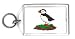 Keychain with shivering, puffin, seabird, beak, bird