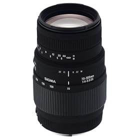 Sigma 70-300mm f/4-5.6 SLD DG Macro Lens with built in motor for Nikon Digital SLR Cameras