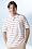 Short Sleeve Heritage Striped Super Dry Polo