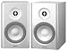 Denon SC-N7 Speaker System (Optional Speaker for Denon RCD-N7 System)