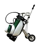 Golf Bag Pen Holder with Trolley Cart Caddy and 3 Golf Club Ball Pens ; Green/White