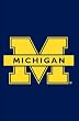 University of Michigan Flag - Garden Size University of Michigan Flag - Garden Size