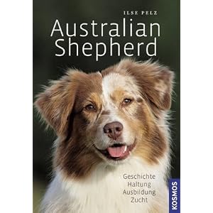 Australian Shepherd - Der bunte Hund aus Nordamerika
