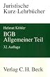 BGB Allgemeiner Teil: Ein Studienbuch