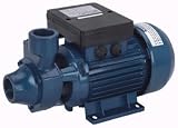1 Clear Water Pump