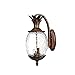 Acclaim 7502BC Lanai Collection 2-Light Wall Mount Outdoor Light Fixture, Black Coral