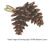 Pine Cone Lodge Shower Curtain Hooks