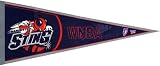 Charlotte Sting WNBA Basketball Pennant