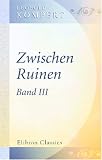 Zwischen Ruinen: Band 3 (German Edition)