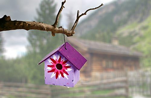 Paint &amp; Assemble a LED Lighted Birdhouse DIY Craft Kit for Kids