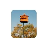 Hexagon Purple Martin House Plan (Woodworking Project Paper Plan)