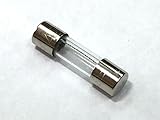 ガラス管 ヒューズ 5A 250V 20mm 20本 [並行輸入品]