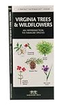 Virginia Trees & Wildflowers: An Introduction to Familiar Species (State Nature Guides)