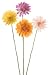 Set of 4 Assorted Spring Gerbera Daisies