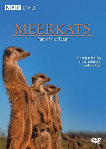 Meerkats - Part of a Team [DVD]