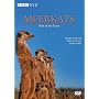 Meerkats - Part of a Team [DVD]