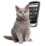 CatRingtones