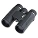 Pentax 62556 10x42 DCF CS Binoculars (Black)