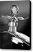 Ford Winged Hood Ornament black and white Canvas Print / Canvas Art - Artist Jill Reger
