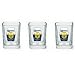 Officially Licensed Corona Extra Square Shot Glass Set