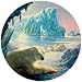 Polar Bear Glacier 1000 pc