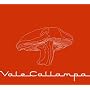 Vale Callampa