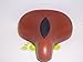 Electra Ergo Saddle Vintage Brown Lycra Insert