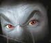 Hot Red Contact Lenses Non Prescription Halloween Horror Gothic Krazy Lenses