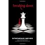 Breaking Dawn