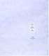 Sample: 100 Fashion Designers - 010 Curators - Cuttings from Contemporary Fashion