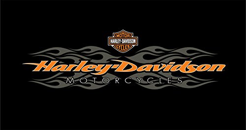 Harley-Davidson radical flames billiard cloth - 8'