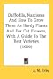 Daffodils, Narcissus And How To Grow Them As Hardy Plants And For Cut Flowers, With A Guide To The Best Varieties (1909)