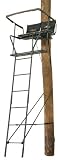 Big Game CR4800 15' Big Buddy 2-Person Ladder Stand