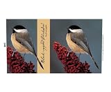 Impact Photographics Mug 14 oz Blk Capped Chickadee Gorgeous Image