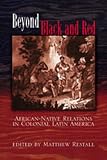 Beyond Black and Red: African-Native Relations in Colonial Latin America (Dialogos)