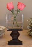 Truet Rustic Cast Iron and Glass Vase