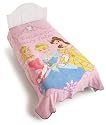 Beautiful Princess Micro Raschel Blanket