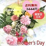 �y5/6�����w��z��ɑ���ԑ�2009�@�o���ƃJ�[�l�[�V�����G�߂̑��Ԃ̉ԑ��@�p���_�C�X�@�v���e�B�i���ԁj�@�y��̓��M�t�g�z�y�k�C���E�l���E��B�ɂ��͂������R�P�T�~�z