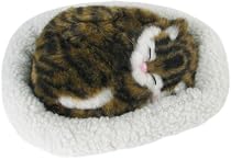 Pet Dreamz Kitten (Assorted Colours)